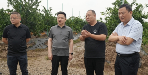 李智勇赴祝丰镇调研指导工作