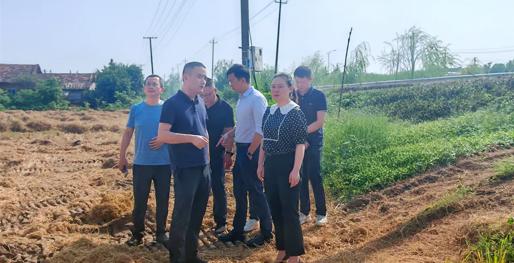 叶春华带队督导全区秸秆综合利用和禁烧工作