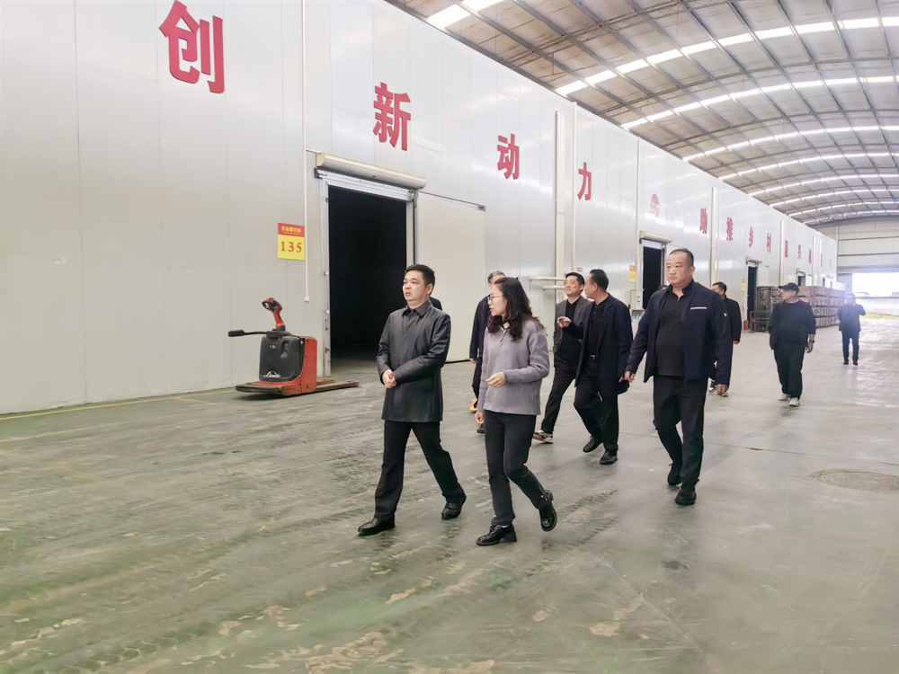 微信图片_20251031104917_80_4