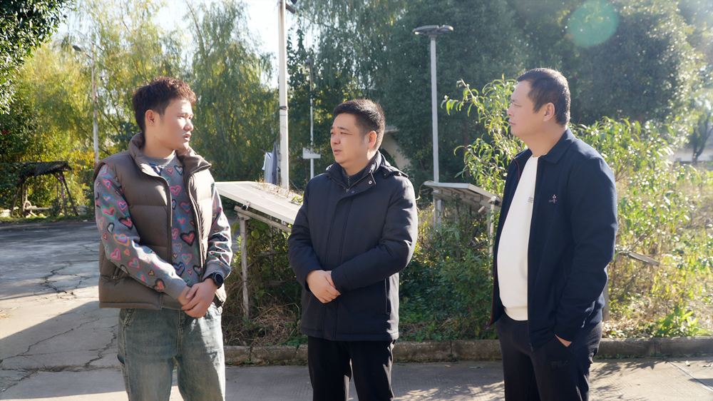 微信图片_20251119104335_144_4