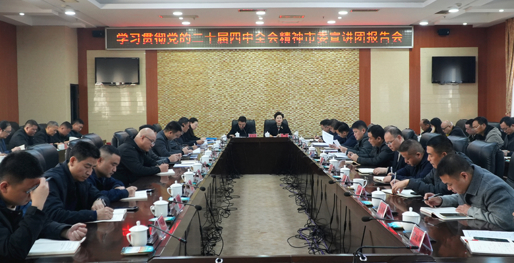 西洞庭管理区学习贯彻党的二十届四中全会精神市委宣讲团报告会召开