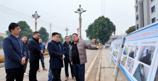 李智勇调研督导重点项目建设工作