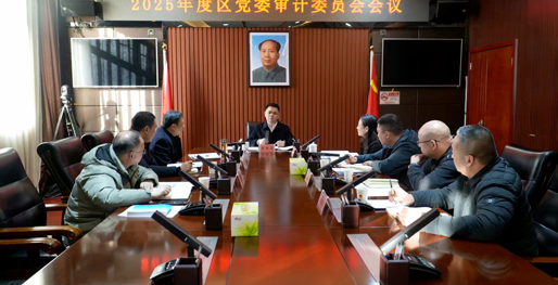 西洞庭2025年度区党委审计委员会会议召开