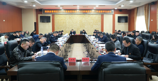 西洞庭管理区2025年度基层党组织书记抓基层党建工作述职评议会议召开