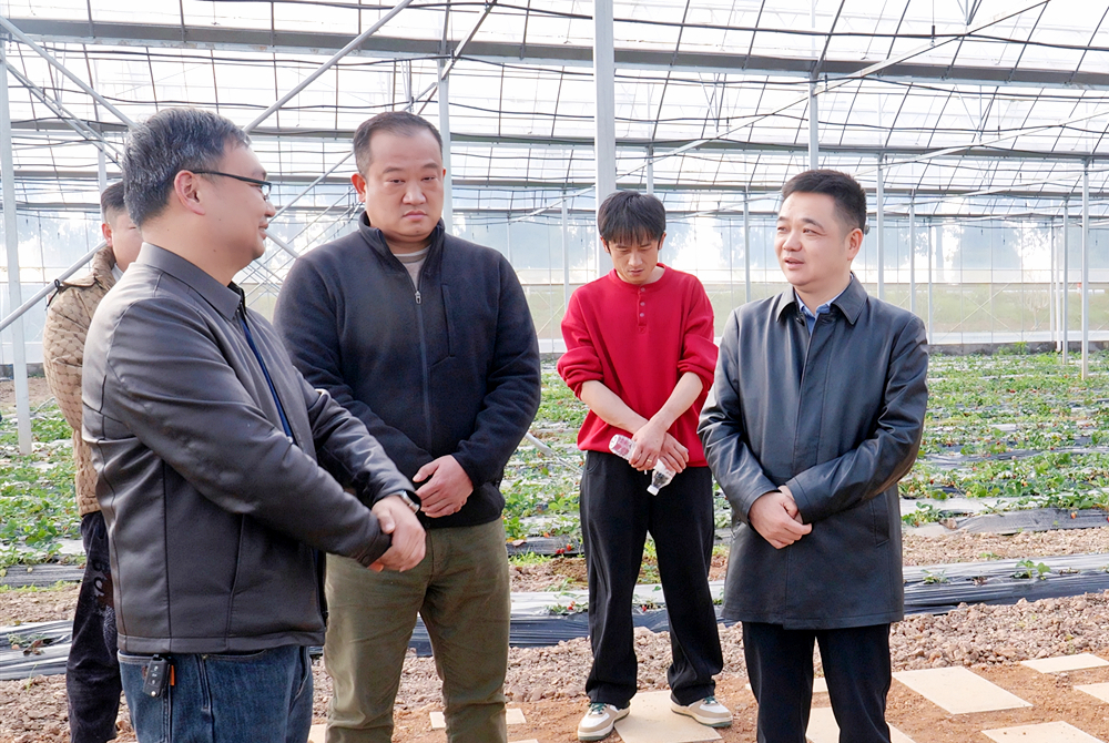 微信图片_20260305163252_486_125