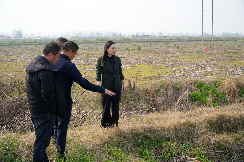 微信图片_20260313082925_691_4