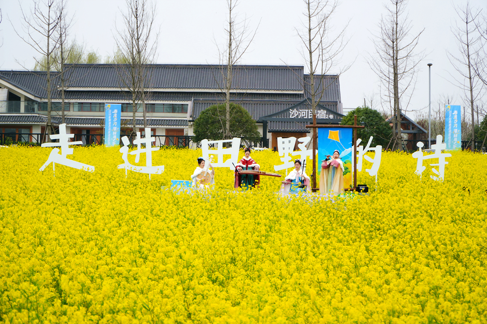 【春漾沙河 湖畔寻乐】共赴一场金色田野的春日之约——2026年常德西洞庭油菜花节精彩开幕_区内动态_综合动态_常德市西洞庭管理区管理委员会