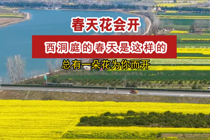 春天花会开——西洞庭的春天是这样的