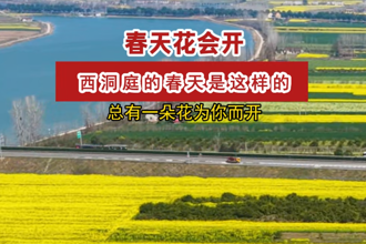 春天花会开——西洞庭的春天是这样的