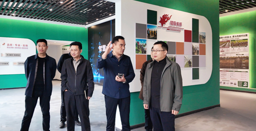 杨模兵带队开展企业走访调研活动